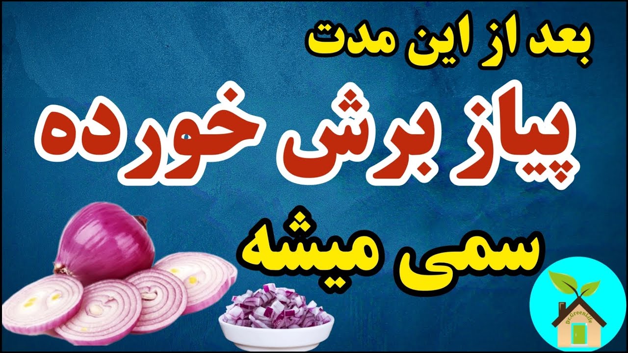 پیاز برش خورده و پیاز آبپز و سرخ شده چند روز سالم می ماند و چطوری؟ | روش صحیح نگهداری پیاز برش خورده