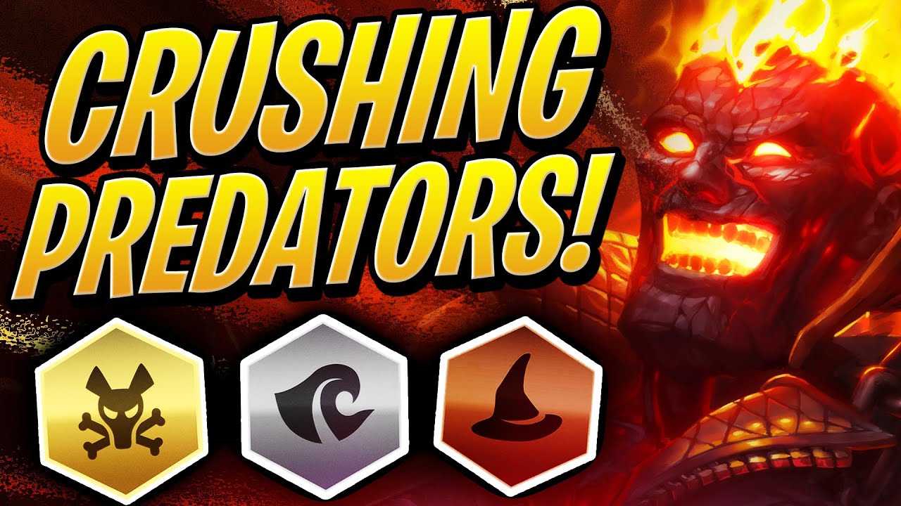 HOW TO BEAT NEW PREDATORS!  w/ Poison/Ocean/Mages | Teamfight Tactics set 2 | TFT | LoL Auto Chess