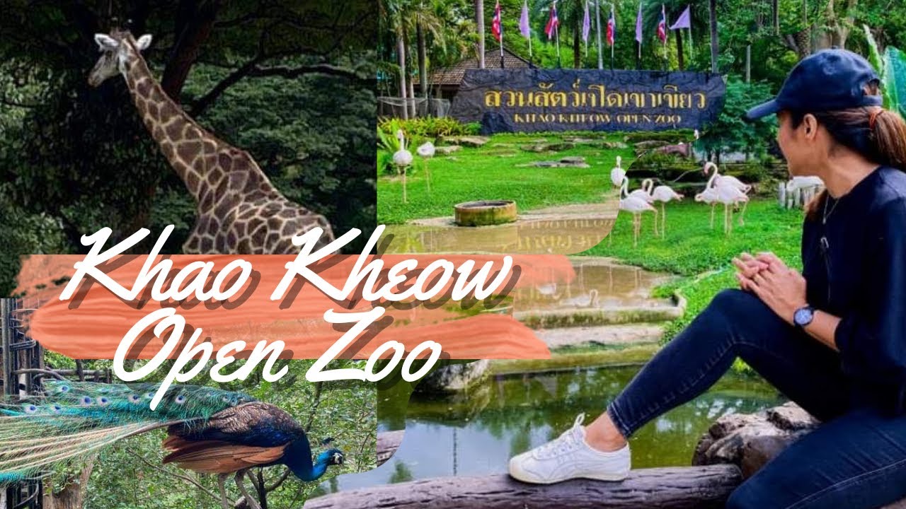 KHAO KHEOW OPEN ZOO - THAILAND | JANE VENTURES