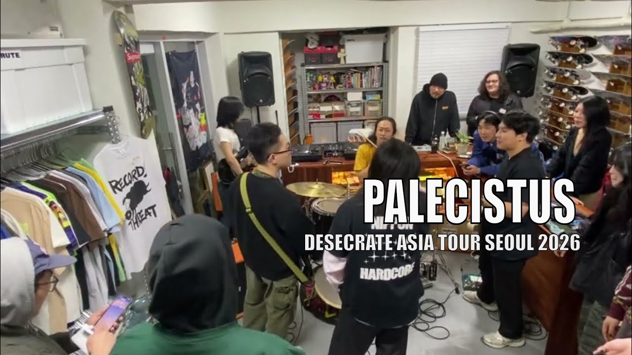 Palecistus Live in Seoul – Melodic Hardcore Intensity at Spin and Grind | Korea Show 2026
