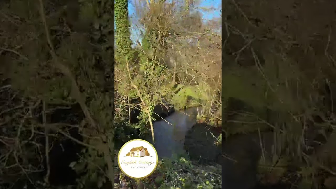 Relaxing English countryside winter walk