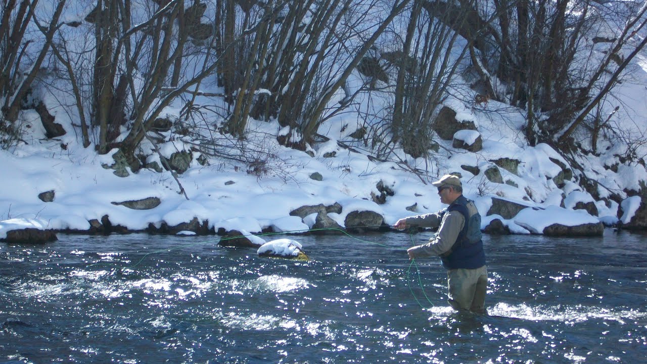 Choosing the Right Midge Pattern for Winter Fly Fishing