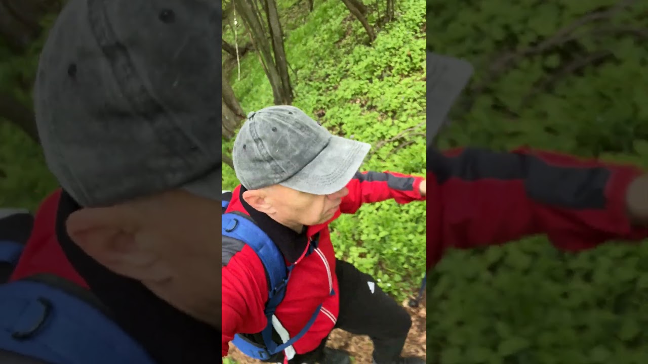 Climb to the top of Mali &Scaron;trbac