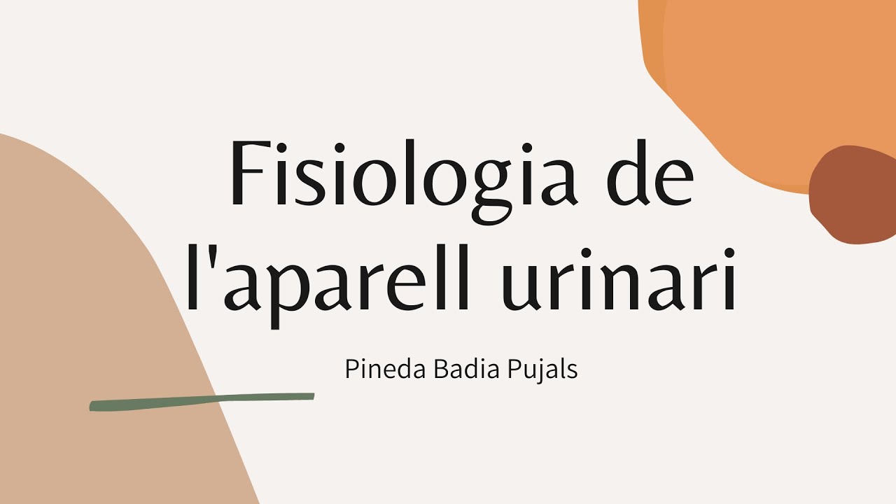 Fisiologia aparell urinari