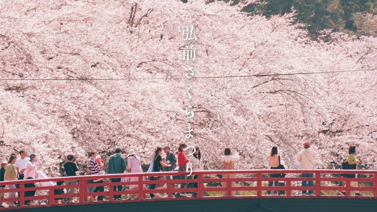 🌸弘前さくらまつり(弘前公園)2025🌸《弘前市》Hirosaki Cherry Blossom Festival【GH7】JAPAN🇯🇵