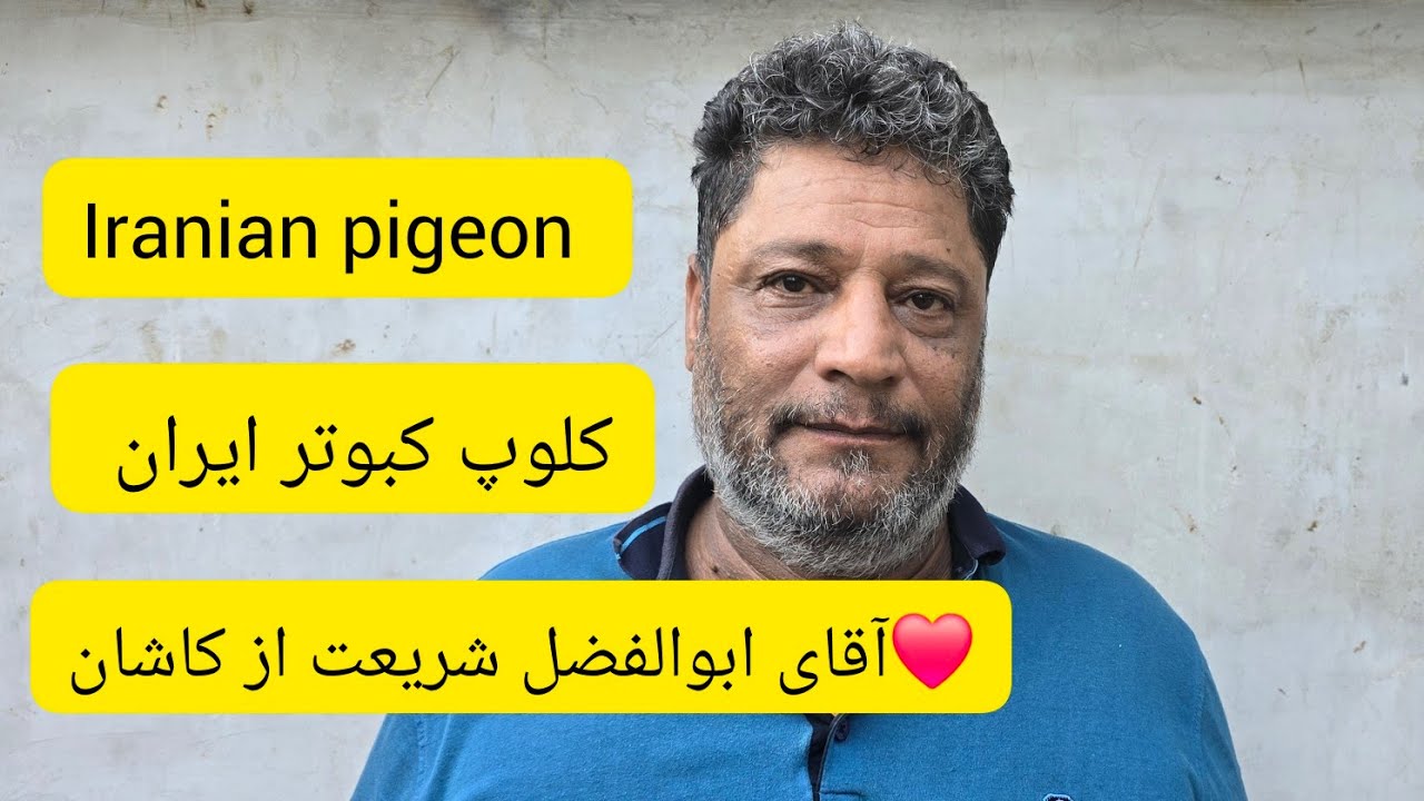 ❤️شهریور 1403 کاشان کبوترا و گزارش از آقای ابوالفضل شریعت iranian high flyer pigeon
