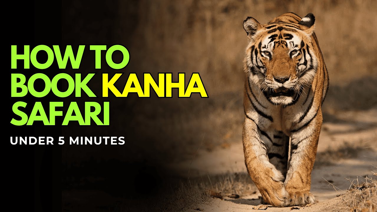 Book Kanha Safari Online in 5 Minutes (Full Tutorial)