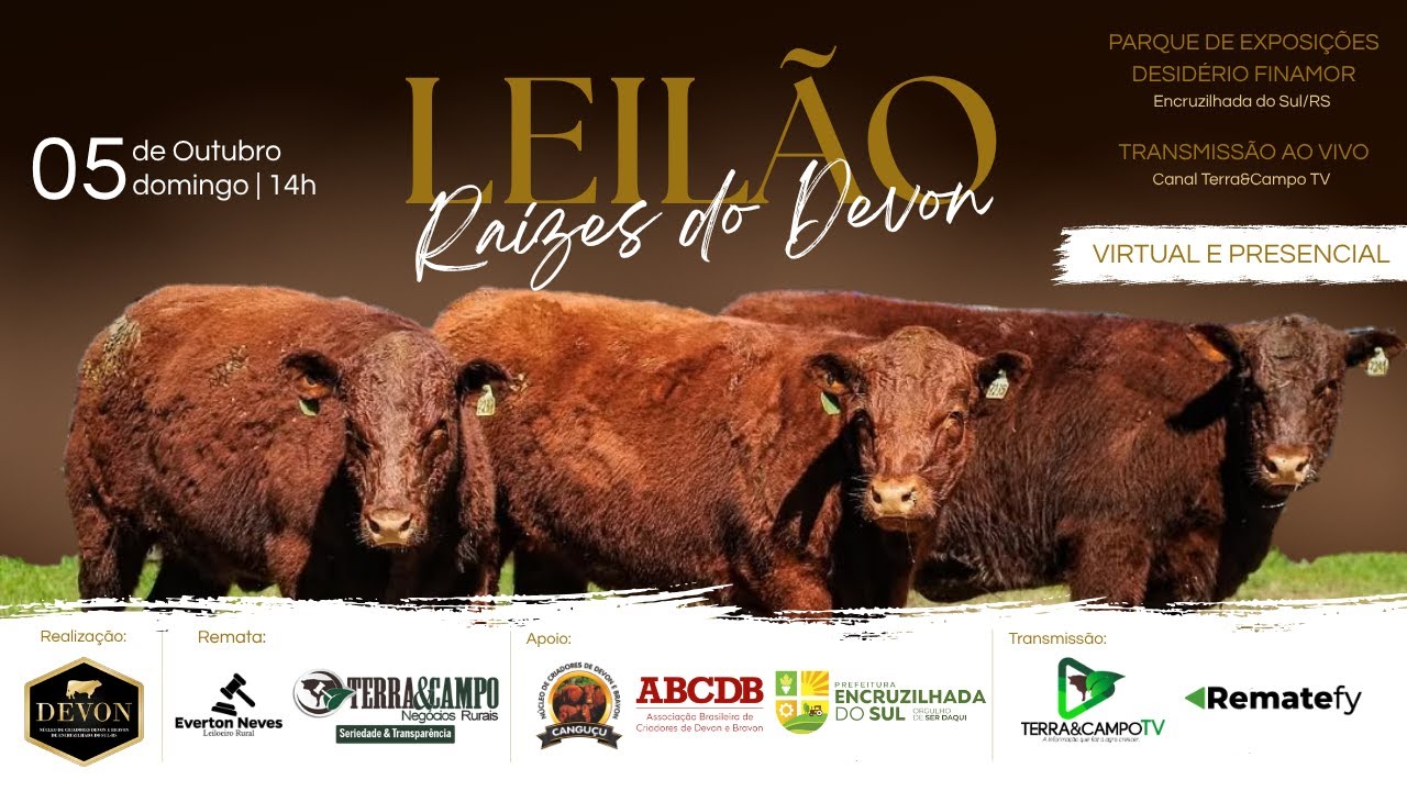 REMATE RAÍZES DO DEVON |  ENCRUZILHADA DO SUL