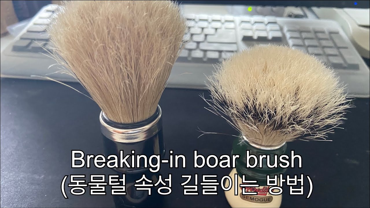 동물털 브러쉬 속성 길들이기와 주의점(Boar brush Breaking-in & Caution)