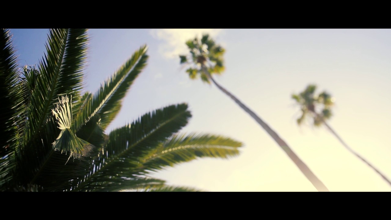 CHON - Checkpoint