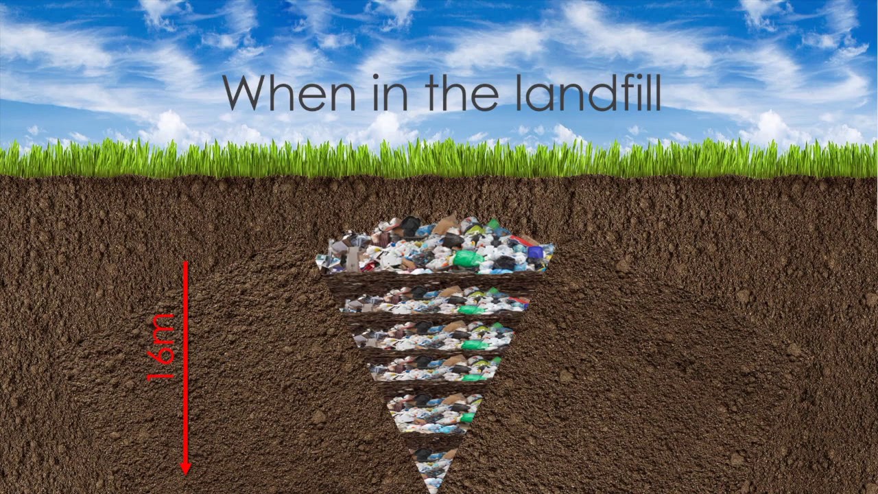 Strategies for Sustainable Waste Diversion