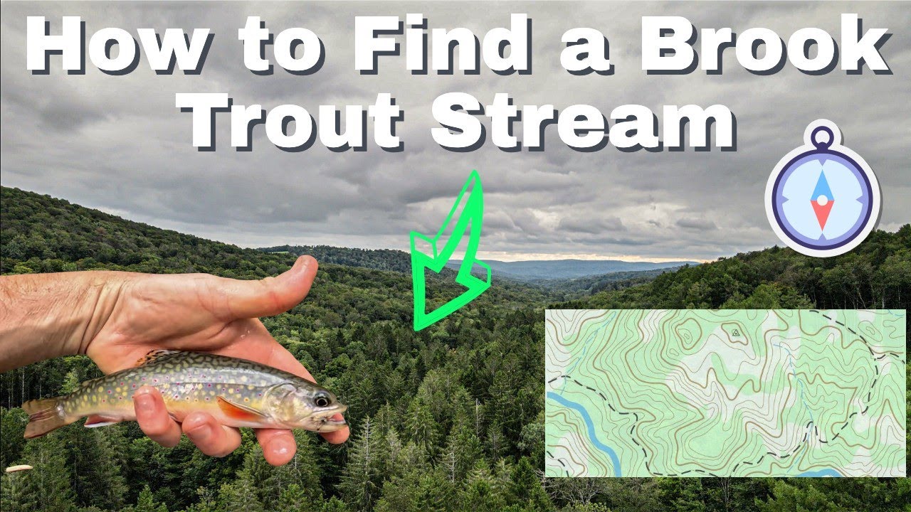 12 Tips/Tactics for Finding and Fishing Brook Trout Streams - Central, NY