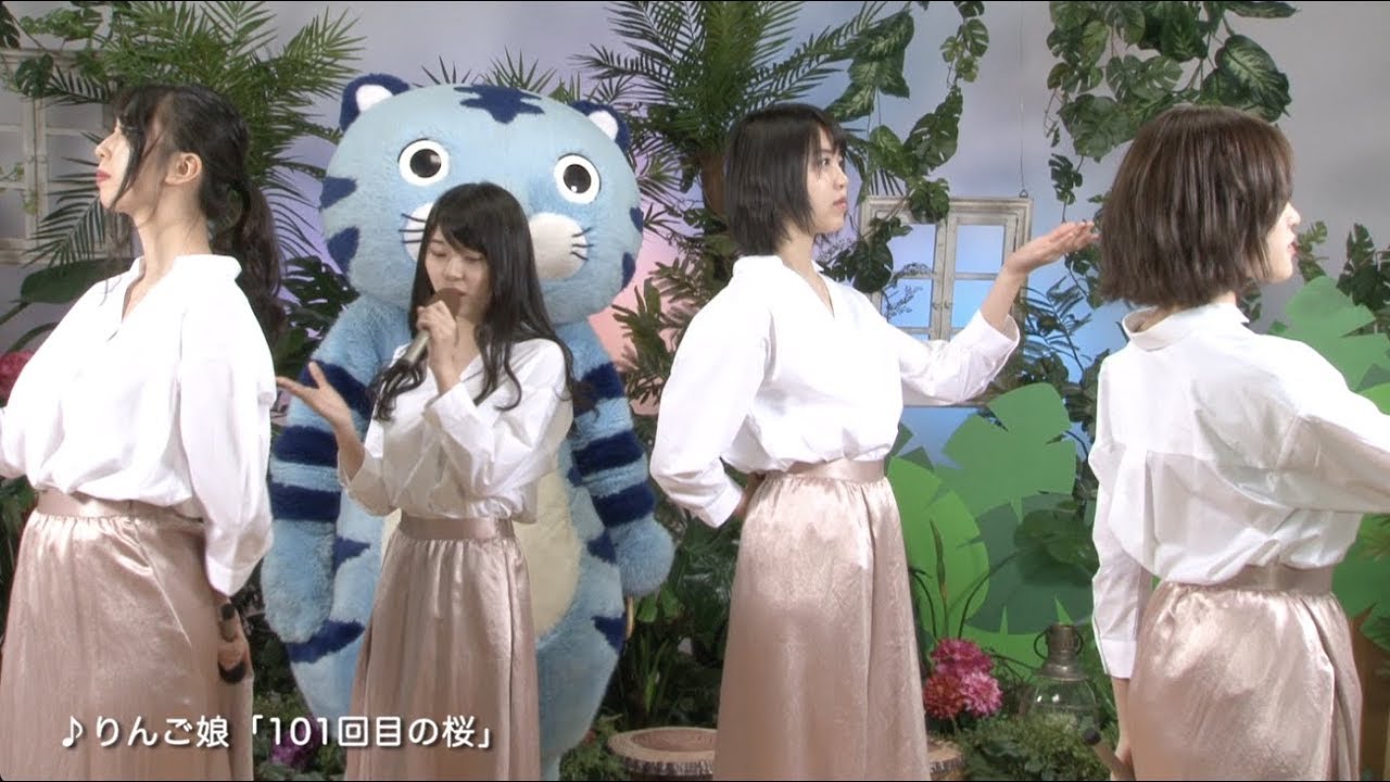 チンタイガー✖️りんご娘 「101回目の桜」