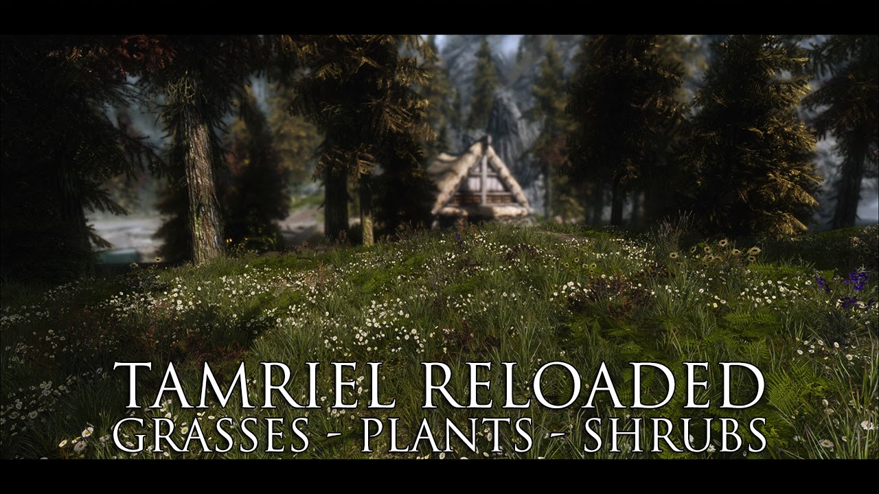 TES V - Skyrim Mods: Tamriel Reloaded Grasses - Plants - Shrubs