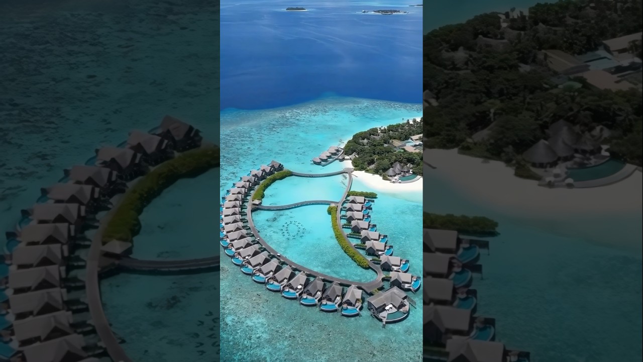 take me back to the beautiful overwater villas i get rid of my mind in Maldives 