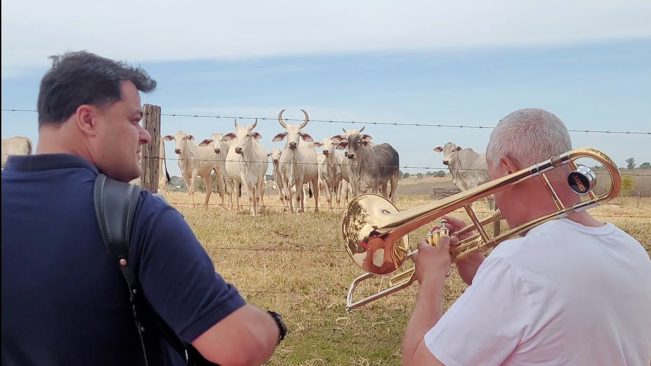 TODA CRIATURA QUE RESPIRA LOUVA AO SENHOR - Veja que até os animais gostam dos hinos (CCB)
