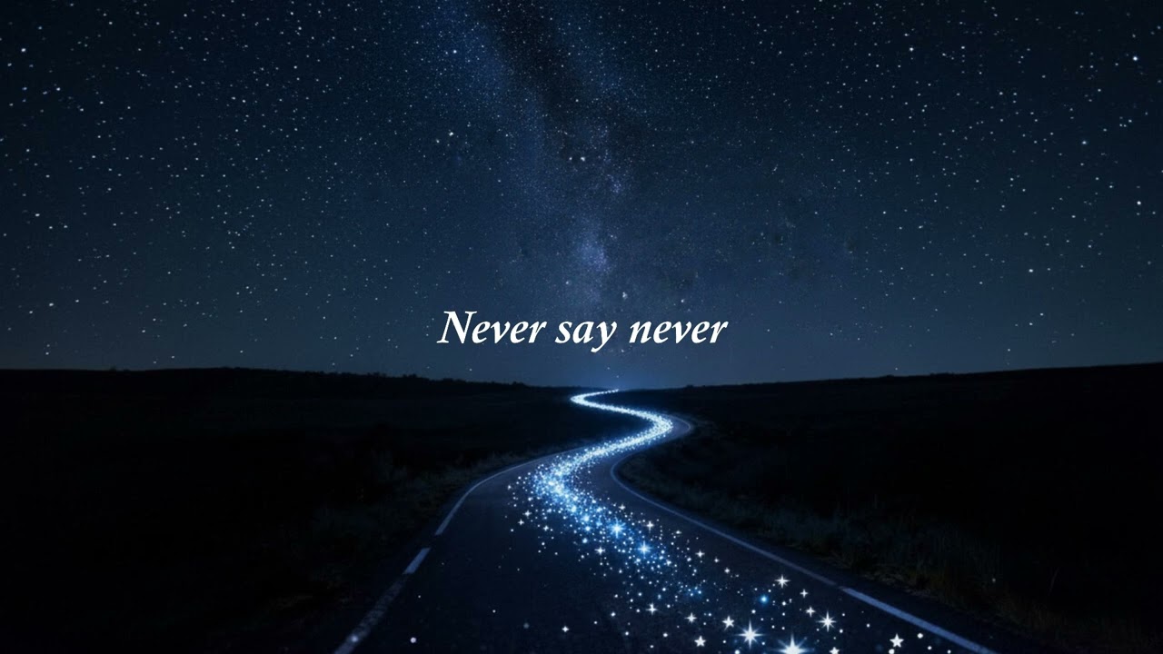 Mr Luspak, SystemMøde -  Never say never (BOOTLEG)