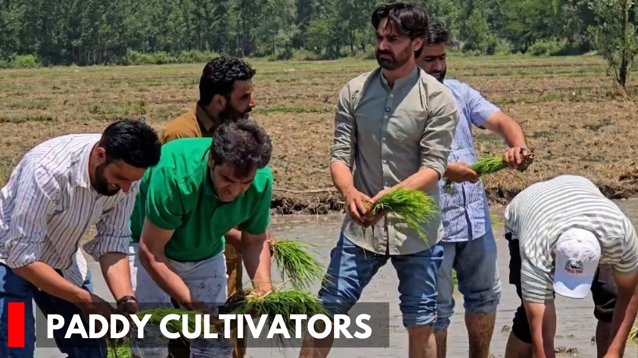 Waheed Para Joins Paddy Cultivators Amid Fears of Farmland Loss