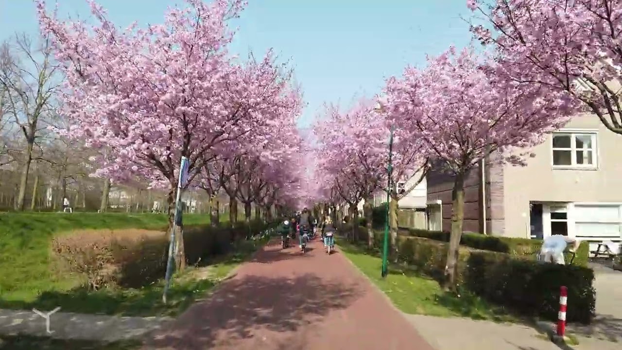 Spring in Houten (Netherlands) — March 2022