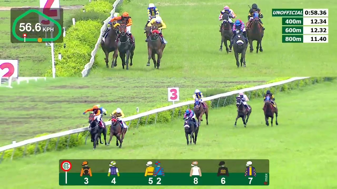 HRC RACES 31ST AUGUST 2025 RACE 4