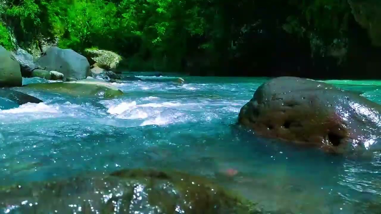Tranquil River Ambience – Peaceful Nature Sounds for Calm and Deep Sleep