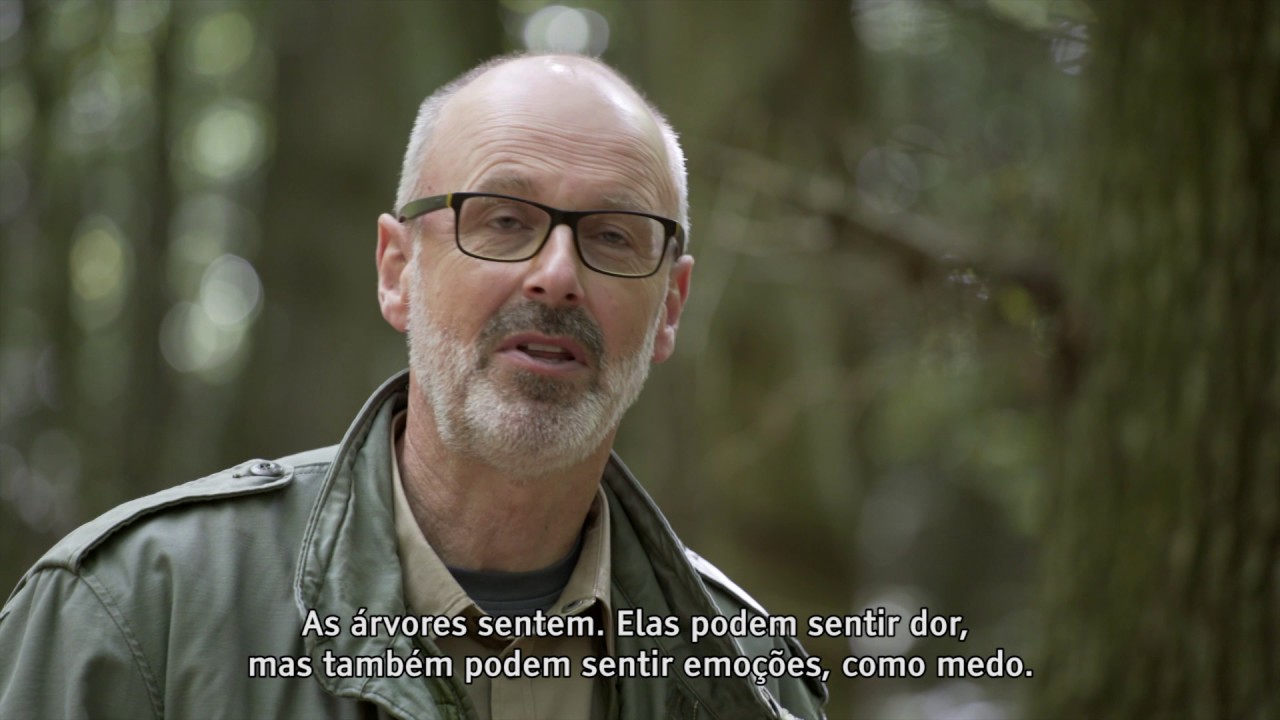 A VIDA SECRETA DAS ÁRVORES | PETER WOHLLEBEN