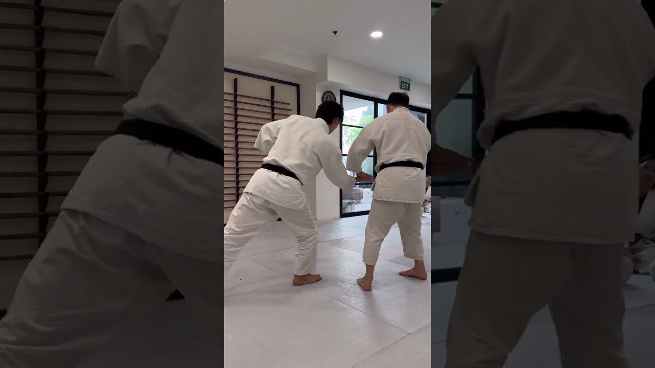 Fundamentals of Ukemi by Aikido Shinju-Kai