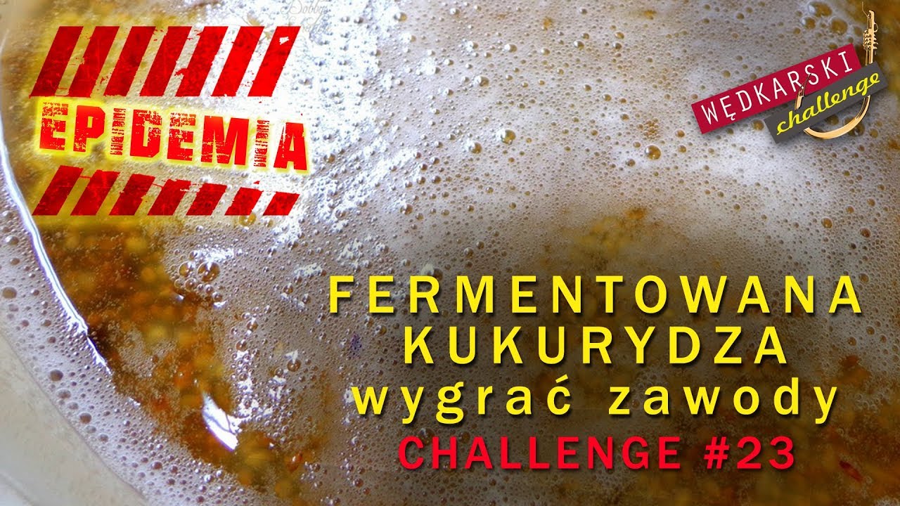 FERMENTOWANA KUKURYDZA | Wygrać zawody wędkarskie | Wędkarski CHALLENGE #23