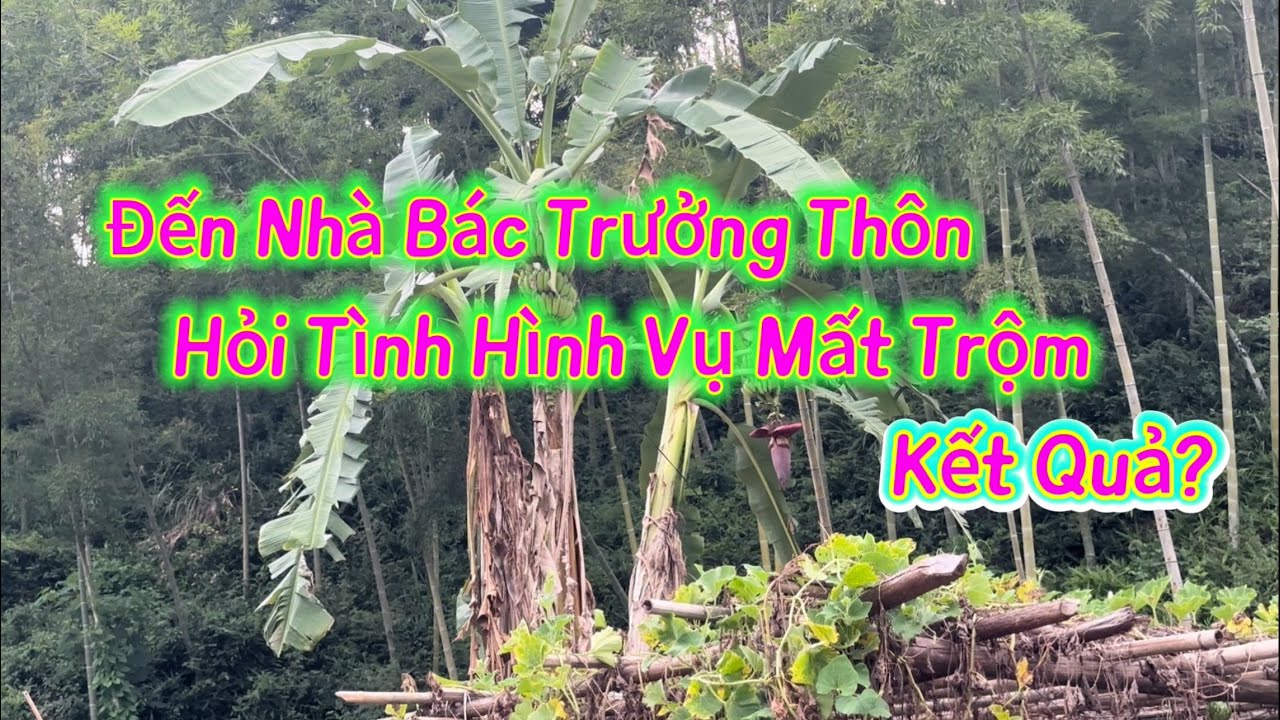 🌻431🌻Dâu Việt Lo Lắng Đến Nhà Bác Trưởng Thôn Hỏi Về Việc Nhà Bị Mất Trộm. Và Câu Trả Lời Của Bác