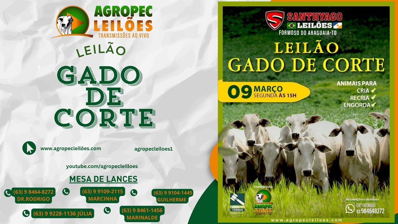 Agropecleiloes AO VIVO | LEILÃO GADO DE CORTE | SANTHYAGO LEILÕES |FORMOSO DO ARAGUAIA-TO | 09/03/26