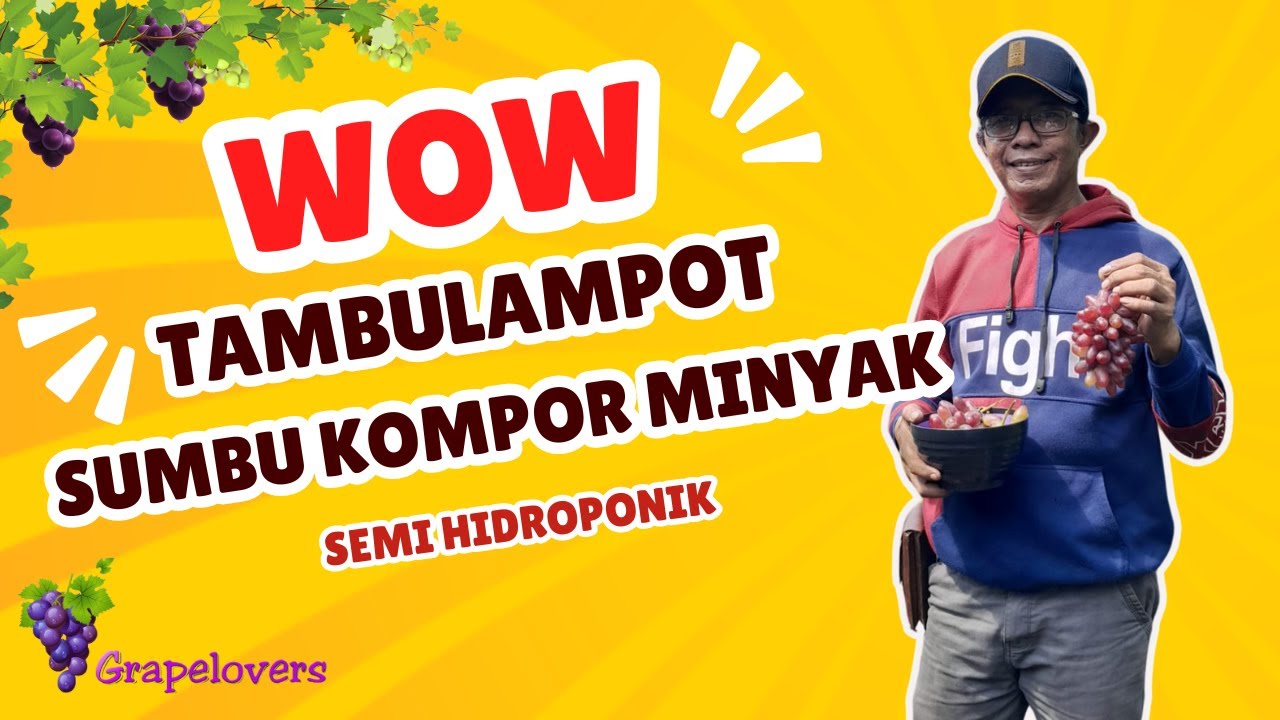 Tambulampot Sumbu Kompor Minyak ( Semi Hidroponik )