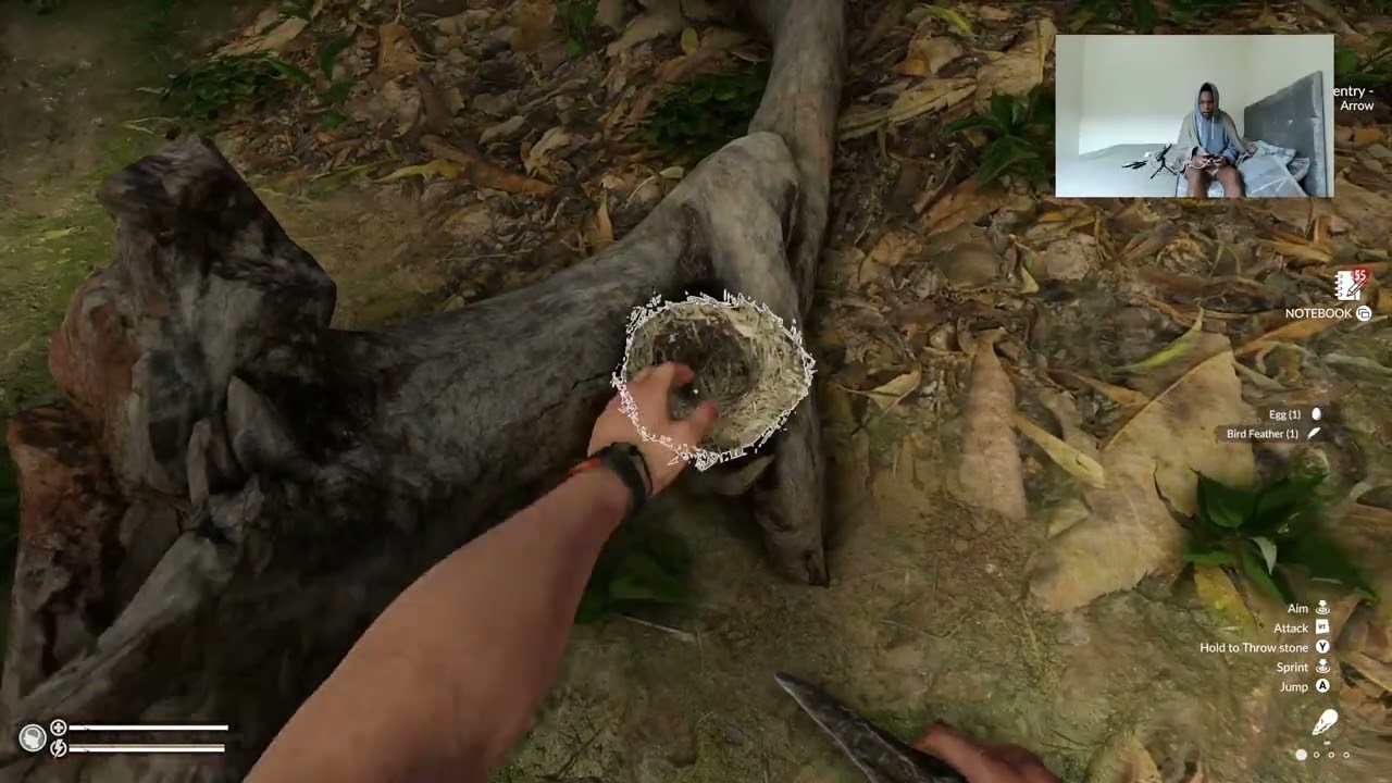 🌴⛺BORN SURVIVOR ⛺🌴 - [Green Hell: Survival Mode]