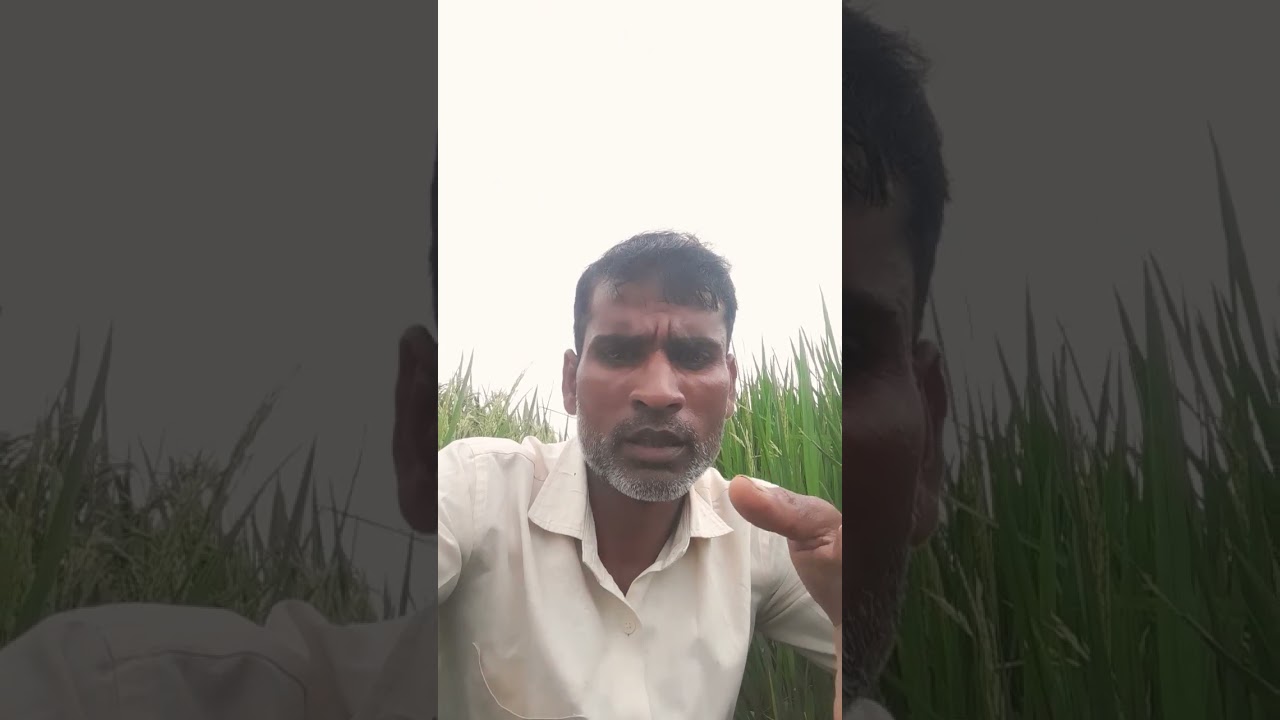 कुछ आज भगिह कुछ काल भगीह खेद खेद