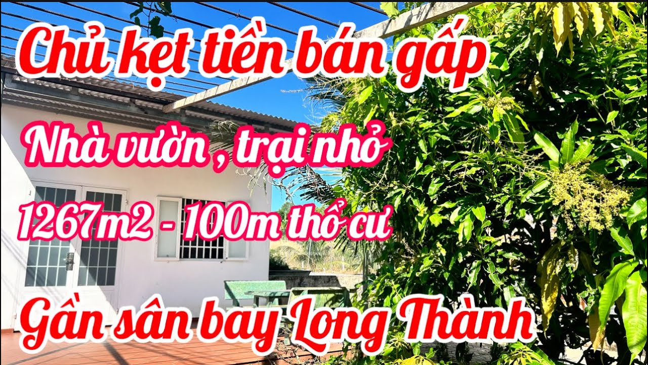Chủ kẹt tiền bán gấp. Nhà vườn , trại nhỏ 1267m2 có 100m thổ cư . Gần sân bay Long Thành. 