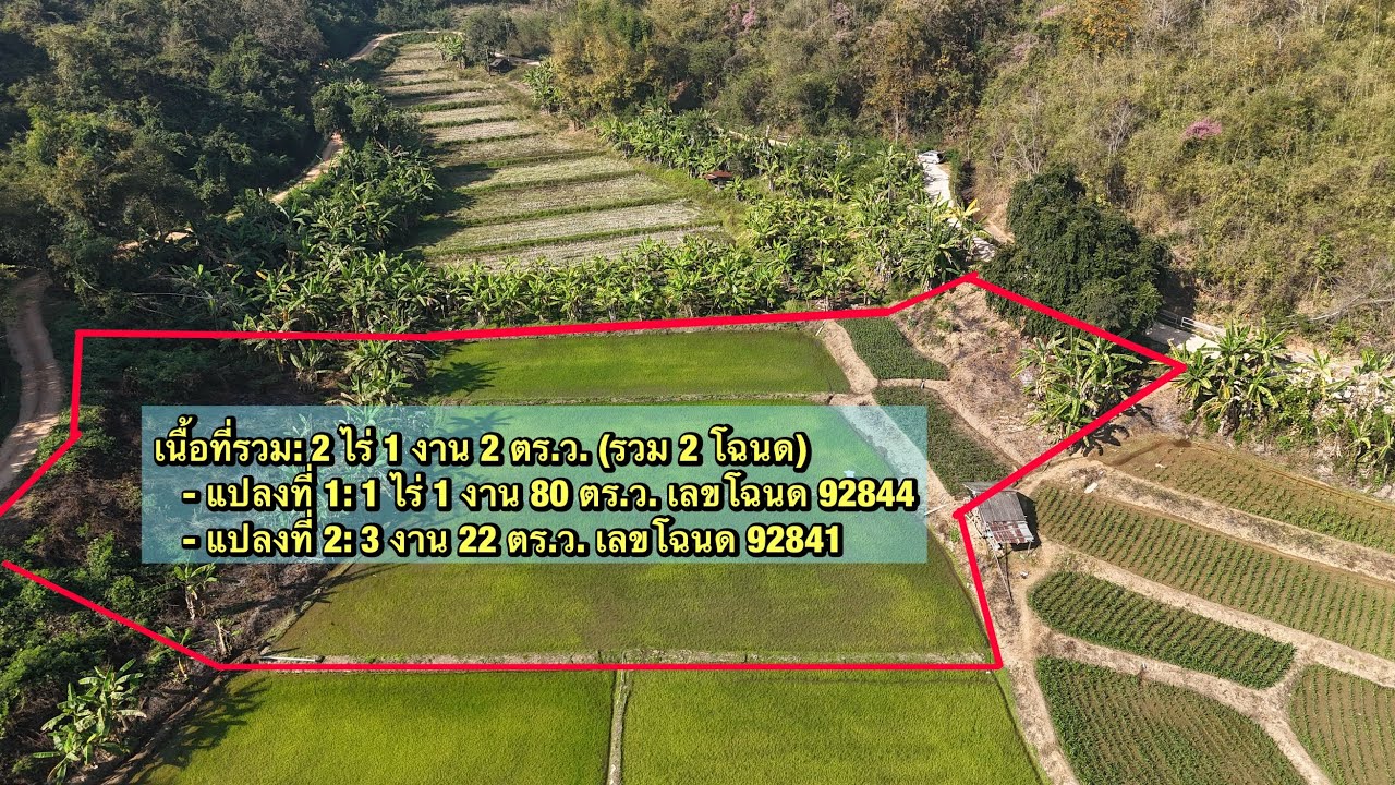 ขายที่ดินอำเภอเมืองลำปาง 2 ไร่ 1 งาน 2 ตรว @ที่นาบ้านสวน 