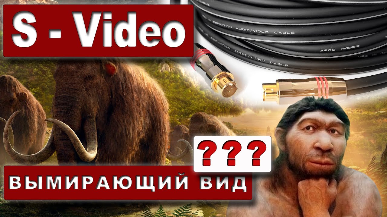 Кабель S-Video - мамонт, который еще не вымер.