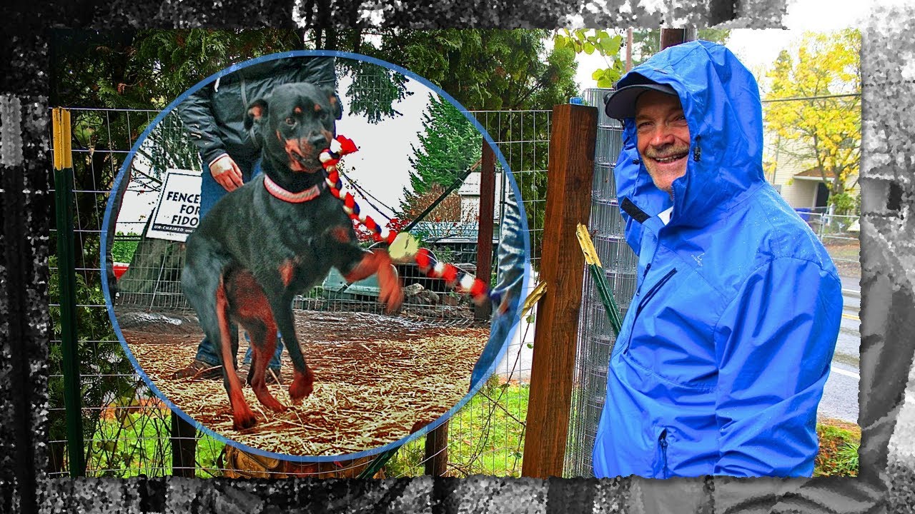 Fences For Fido 