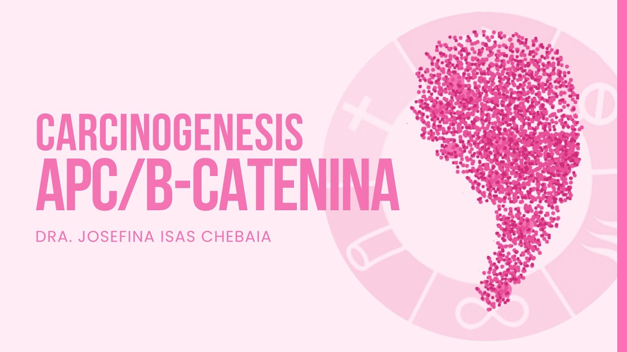 Carcinogenesis: vía APC / betacatenina