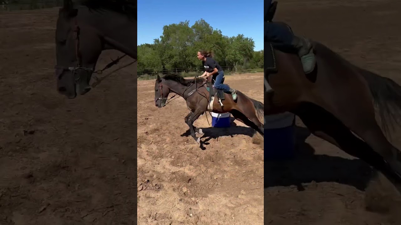 Here is the raw for those that asked! #swagger #horse #horseracing #rodeo