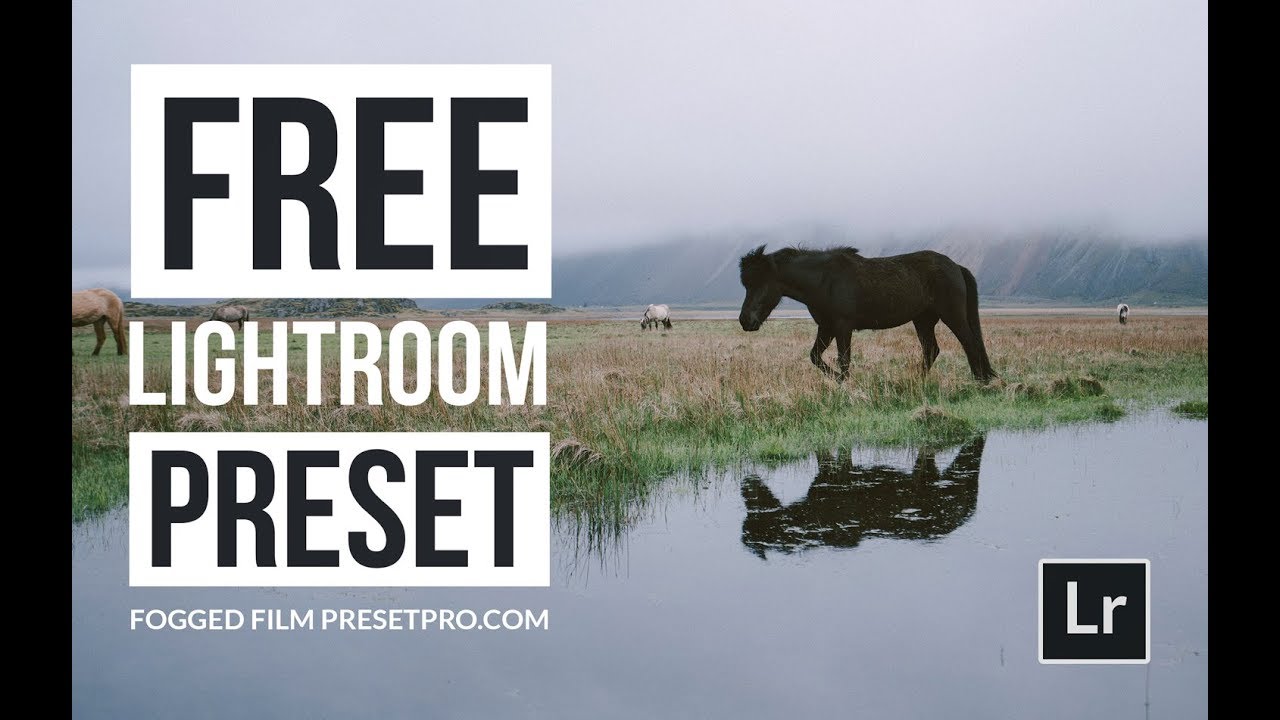 Free Film Preset for Lightroom | Fogged Film