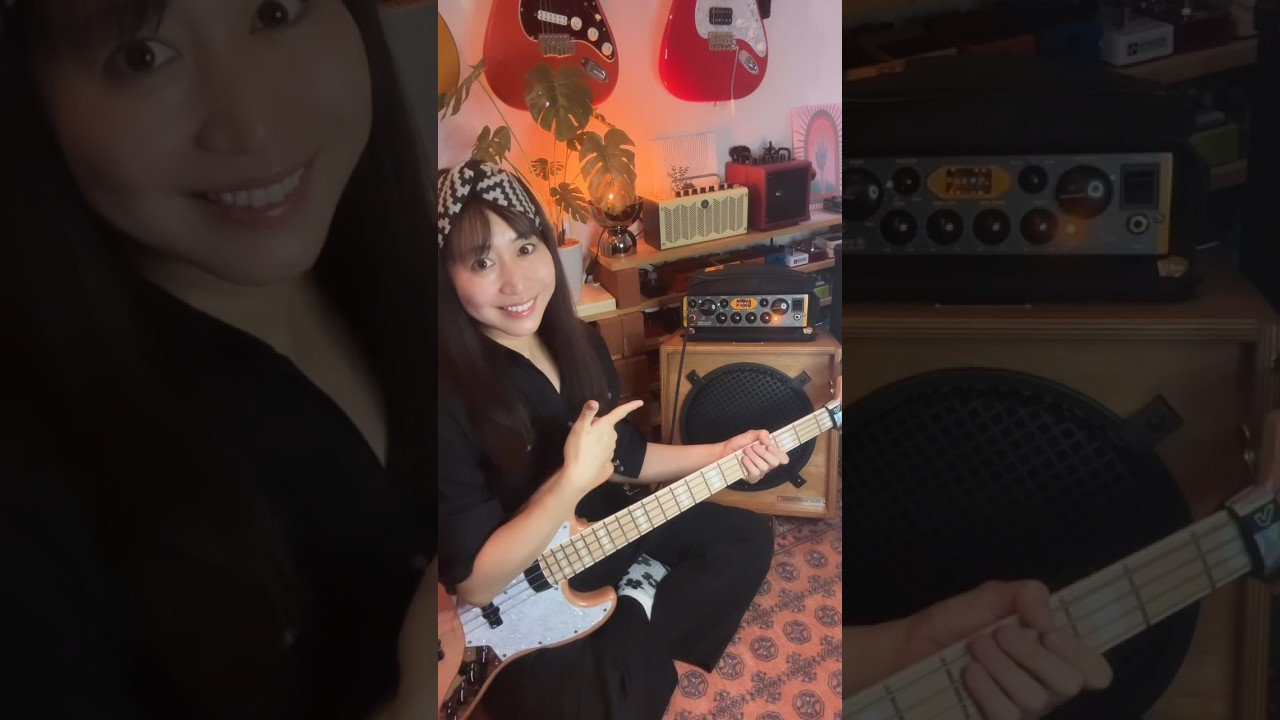Bass Cabinet Unboxing🎵Inami Custom Audio ICA-12TC
