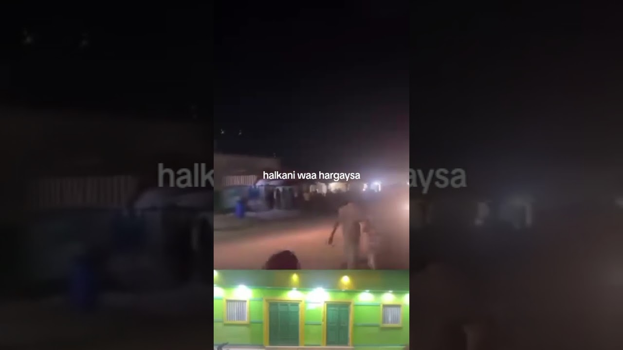 halagu mudoharaado shirkada telecom iyo somtel