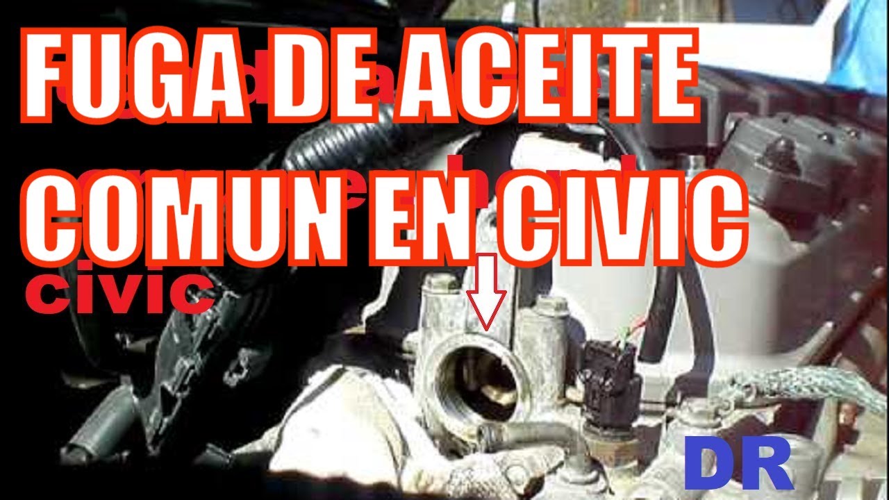 fuga de aceite comun en los honda civic - common leaks - liqueo comun en los honda civic