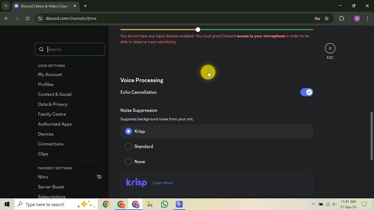 Как использовать голосовой фильтр Discord