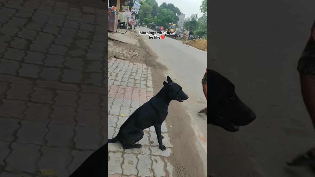 Mornings with loved ones🤫😘