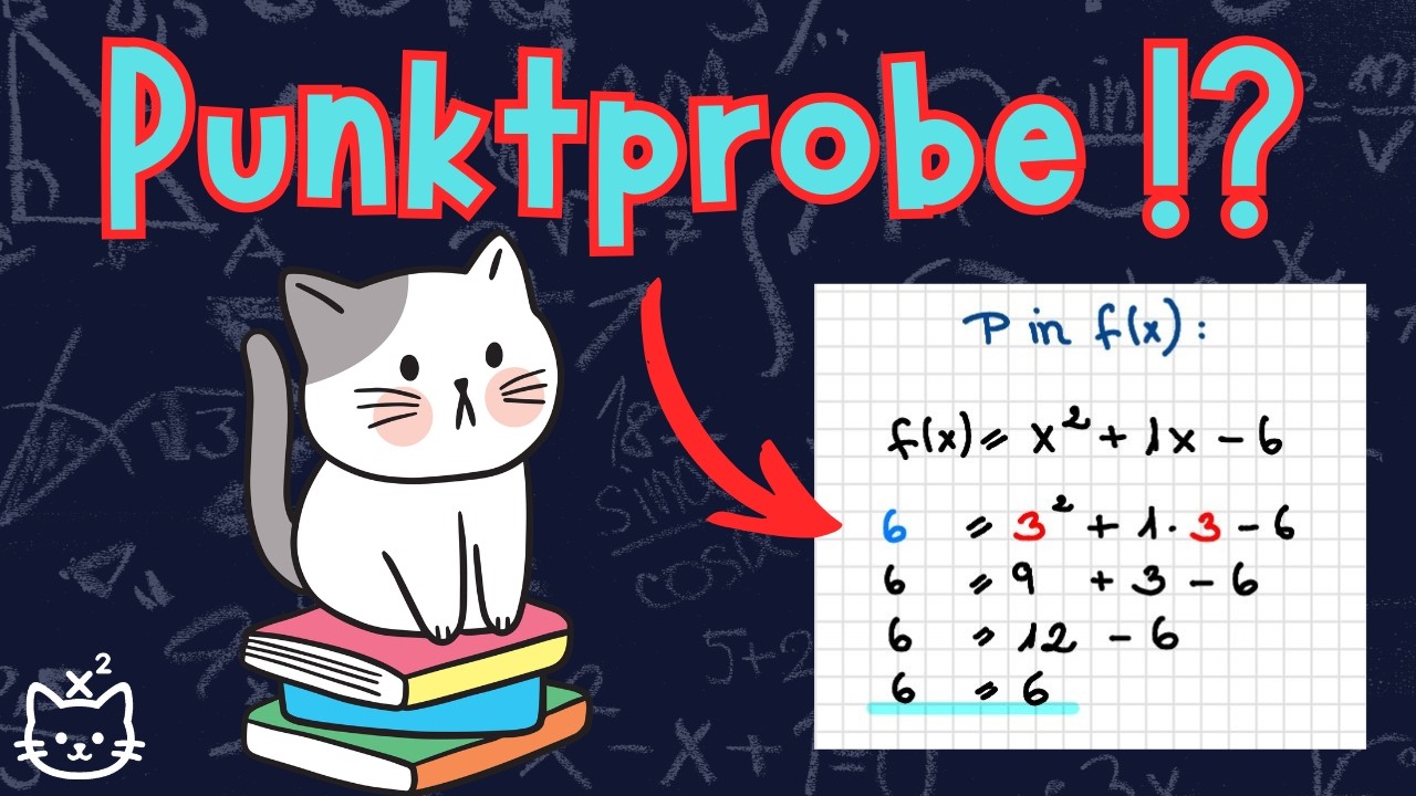 Punktprobe einfach erklärt: Liegt der Punkt auf der Funktion?| 9. Klasse Mathe einfach erklärt