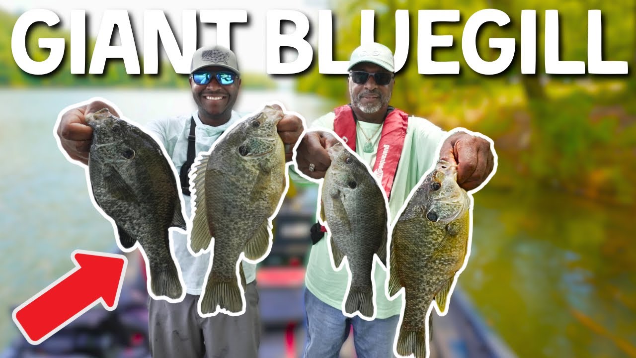 I CAUGHT My PB (Catch Clean Cook)