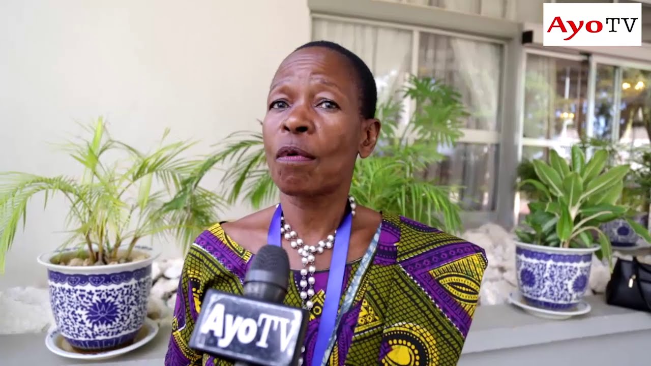Sentensi za Profesa Tibaijuka kuhusu kuanzishwa kwa mahakama ya Mafisadi