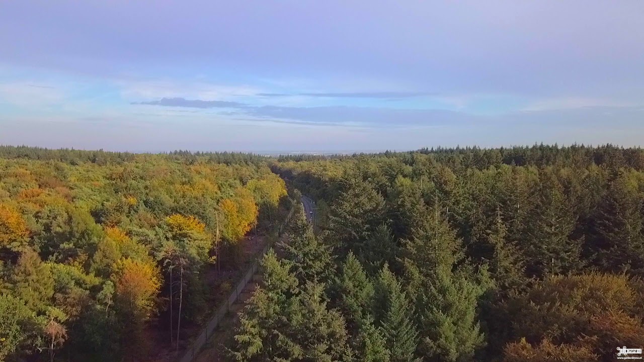 Herfst in Bergherbos 2018