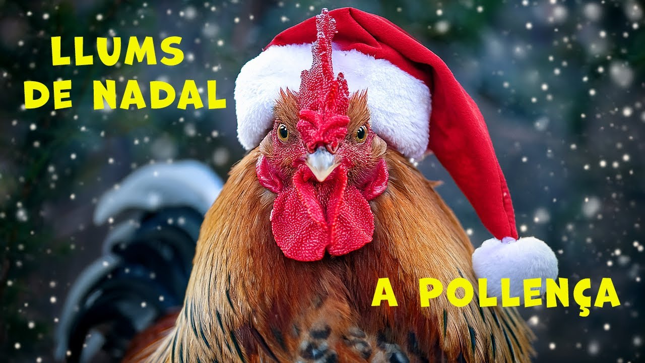 Llums de Nadal a Pollença 2026